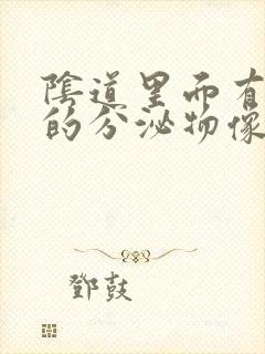 阴道里面有白色的分泌物像豆腐渣还痒