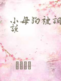 小母狗被调教小说