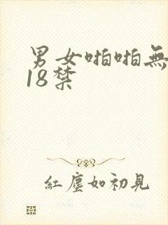 男女啪啪无遮挡18禁