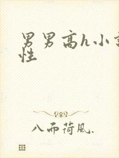 男男高h小说双性