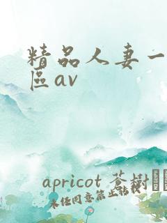 精品人妻一区二区av