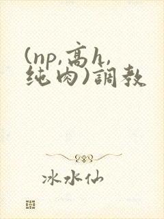 (np,高h,纯肉)调教