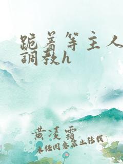 跪着等主人回家调教h