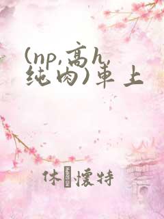 (np,高h,纯肉)车上