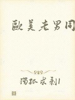 欧美老男同性恋