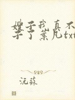 嫂子我真不是傻子了叶凡txt免费完整版