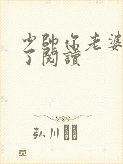 少帅你老婆又跑了阅读