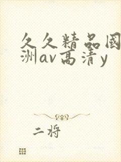 久久精品国产亚洲av高清y