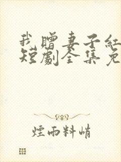 我赠妻子红缨枪短剧全集免费观看