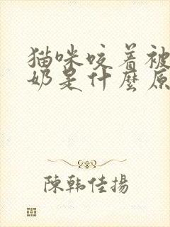 猫咪咬着被子踩奶是什么原因