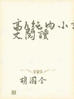 高h纯肉小说全文阅读