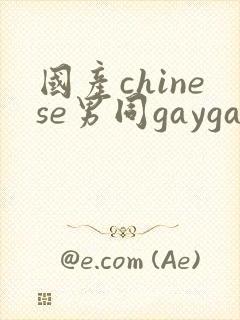 国产chinese男同gaygay网站