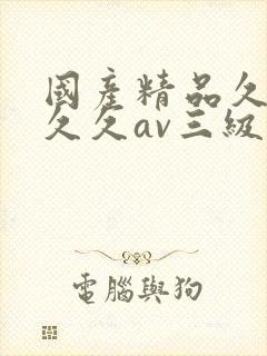 国产精品久久久久久av三级