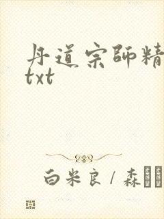 丹道宗师精校版txt