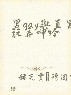 男gay与直男玩弄呻吟