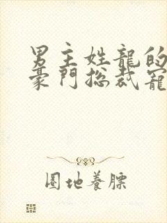 男主姓龙的小说豪门总裁宠文