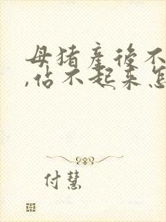 母猪产后不吃食,站不起来怎么办?