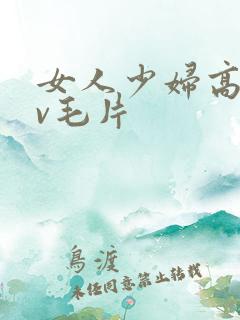 女人少妇高潮av毛片