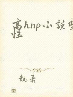 高hnp小说双性