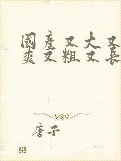 国产又大又黄又爽又粗又长