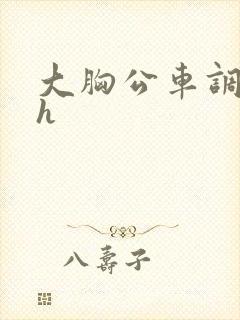 大胸公车调教高h