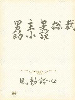 男主是总裁姓盛的小说