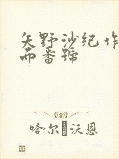 矢野沙纪作品封面番号