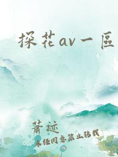 探花av一区