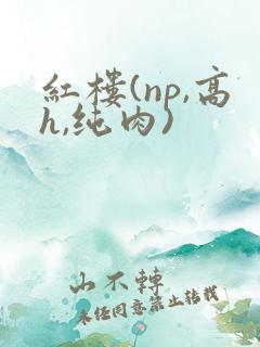 红楼(np,高h,纯肉)