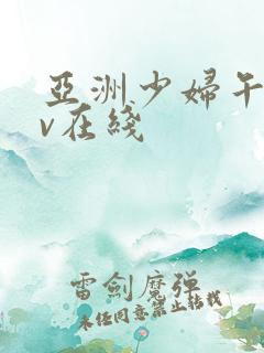 亚洲少妇午夜av在线