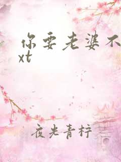 你要老婆不要txt