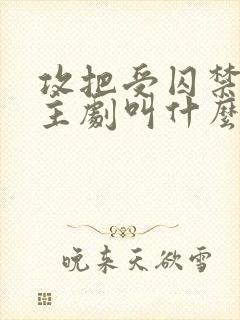 攻把受囚禁双男主剧叫什么名