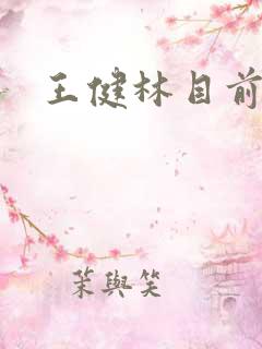 王健林目前身价