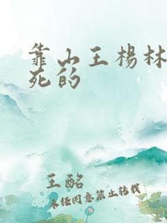 靠山王杨林怎么死的