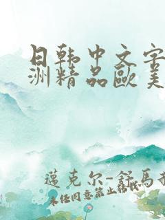 日韩中文字幕亚洲精品欧美