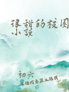 很甜的校园言情小说