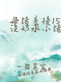 母猪产后15天没奶水小猪怎么办