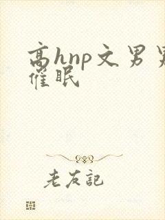 高hnp文男男催眠