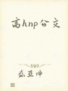 高hnp公交