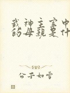 武神主宰中秦尘的母亲是什么修为