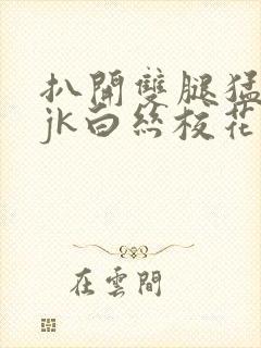 扒开双腿猛进入jk白丝校花