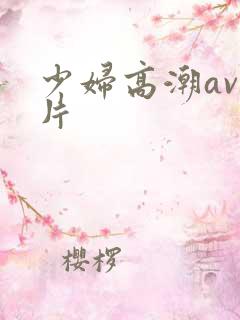 少妇高潮av毛片