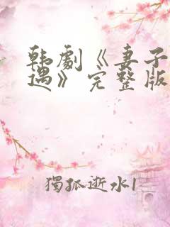 韩剧《妻子的外遇》完整版在线播放