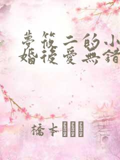 梦筱二的小说先婚后爱无错版