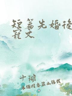 短篇先婚后爱甜宠文