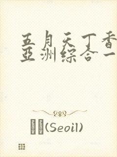 五月天丁香婷婷亚洲综合一区