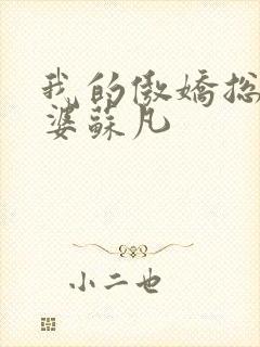 我的傲娇总裁老婆苏凡