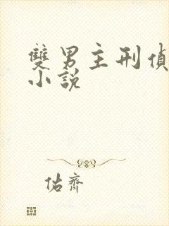 双男主刑侦推理小说