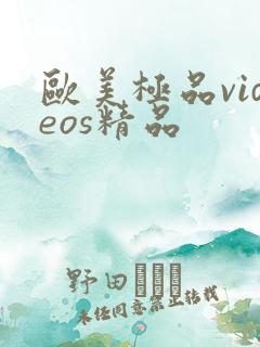 欧美极品videos精品