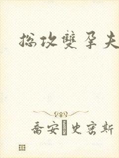 总攻双孕夫双性